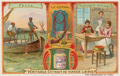 Coral de European School