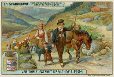 Vaqueros conduciendo ganado en las montañas de European School