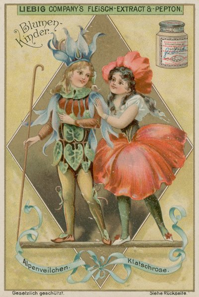 Ciclamen y Amapola de European School