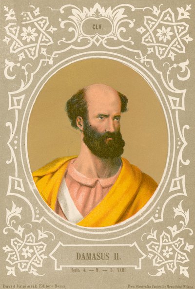 Dámaso II de European School