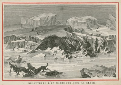 Descubrimiento de un mamut lanudo bajo el hielo de European School