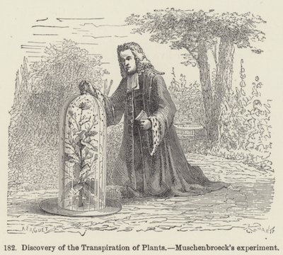 Descubrimiento de la transpiración de las plantas, experimento de Muschenbroeck de European School
