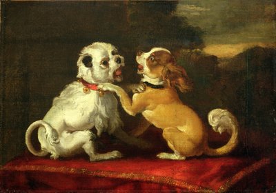 Perros jugando de European School