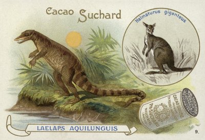 Dryptosaurus y canguro de European School