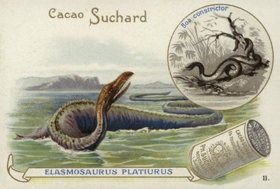 Elasmosaurio y boa constrictor de European School