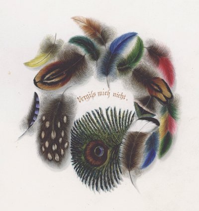 Plumas de European School