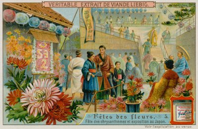 Festivales de los crisantemos en Japón de European School
