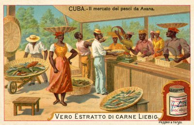 Mercado de pescado de La Habana, Cuba de European School