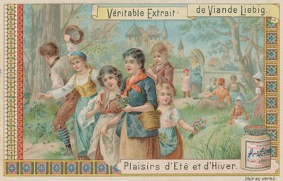 Recolección de flores de European School
