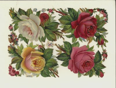 Flores de European School