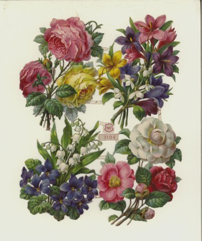 Flores (cromolito) de European School