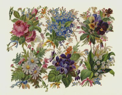 Flores de European School