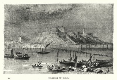 Fortaleza de Buda de European School