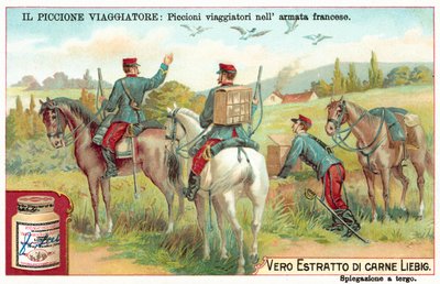 Palomas mensajeras del ejército francés de European School
