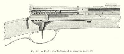 Fusil de aguja, corte a media escala natural de European School