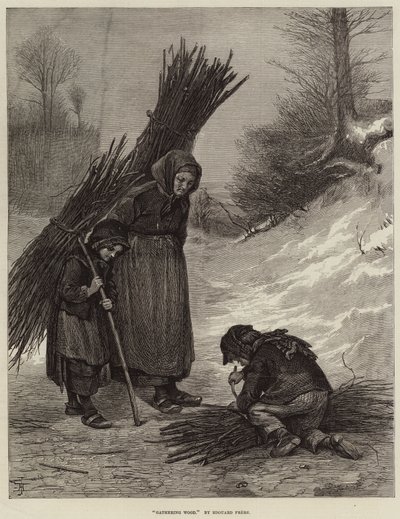 Recolección de leña (grabado) de European School
