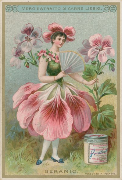 Niña flor de geranio de European School