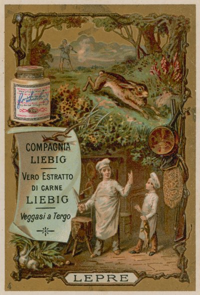 Liebre de European School