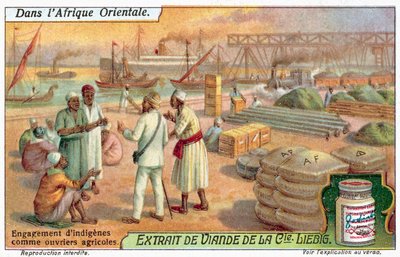 Contratación de Trabajadores Agrícolas Nativos de European School