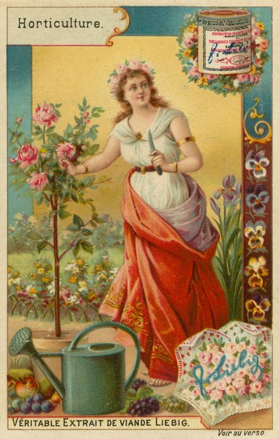 Horticultura de European School