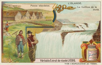 Granja islandesa y la cascada Gullfoss (Cataratas Doradas) en el Hvita de European School