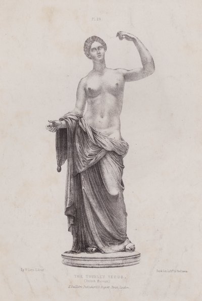 Ilustración para La anatomía de las formas externas del hombre: La Venus de Townley, Museo Británico (litografía) de European School
