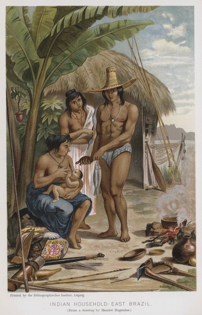 Hogar indio, este de Brasil de European School