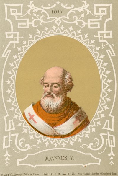Joannes V de European School