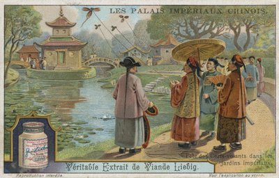 Festival de vuelo de cometas en los jardines imperiales, China de European School