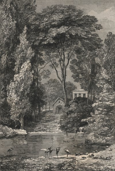 El Valle Suizo en el Jardín de Plantas de París de European School