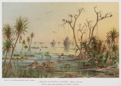 Laguna en Loango Norte, África Occidental (chromolitho) de European School