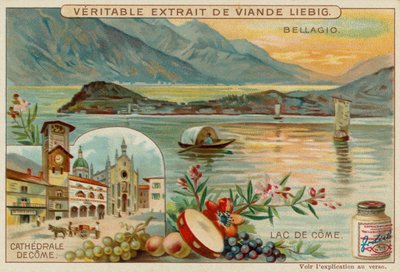 Lago Como de European School