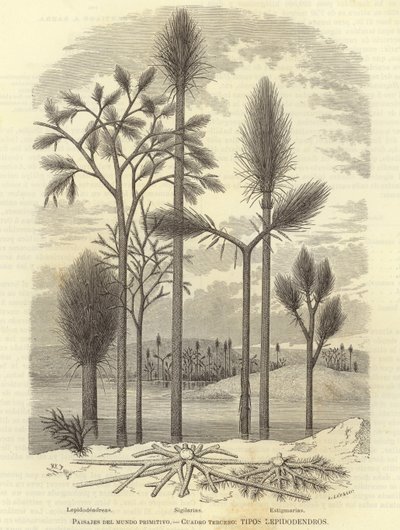 Paisajes del mundo primitivo de European School
