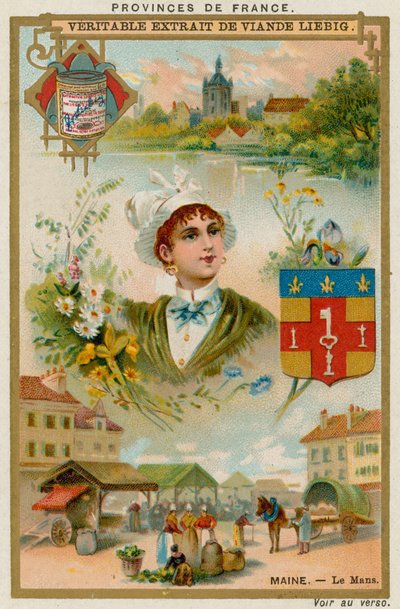 Le Maine de European School