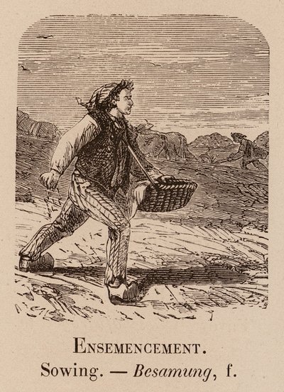 Vocabulario Ilustrativo: Siembra; Siembra; Besamung (grabado) de European School