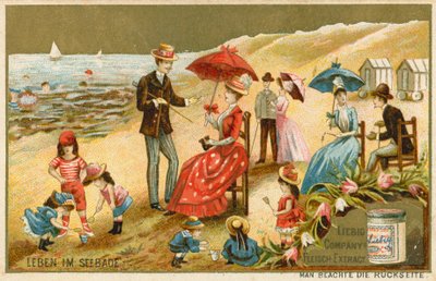 Vida en la costa de European School