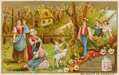 Vida en el pueblo de European School
