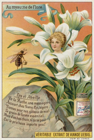 Lirio y abeja de European School
