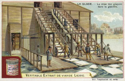 Cargando hielo en una nevera de European School