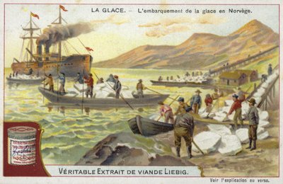Cargando hielo en un barco; Noruega de European School