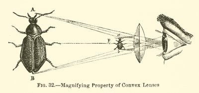 Propiedad de Magnificación de Lentes Convexas de European School