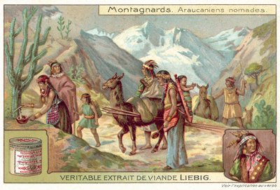 Nómadas mapuches de European School