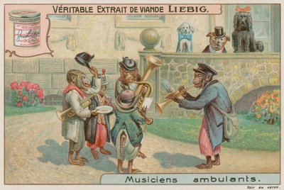 Monos en una banda de European School