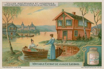 Casas móviles en el lago Mälaren en Suecia de European School