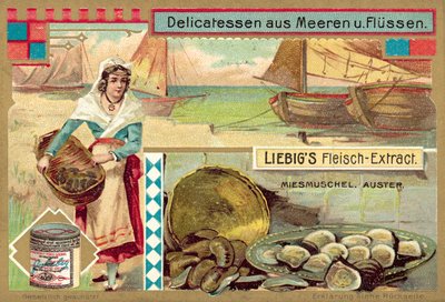 Mejillones y ostras de European School