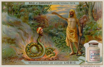 Nala salva a la serpiente Naga Karkotaka de European School