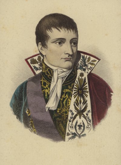 Napoleón Bonaparte de European School