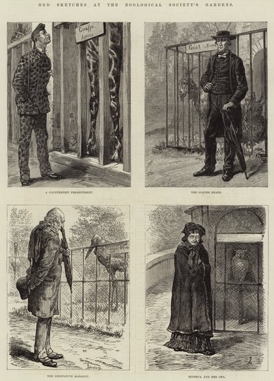 Bocetos extraños en los Jardines de la Sociedad Zoológica (grabado) de European School