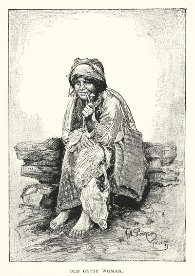 Vieja Gitana de European School
