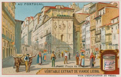 Oporto, Plaza de la Ribeira de European School